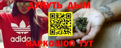 mdpv Кингисепп