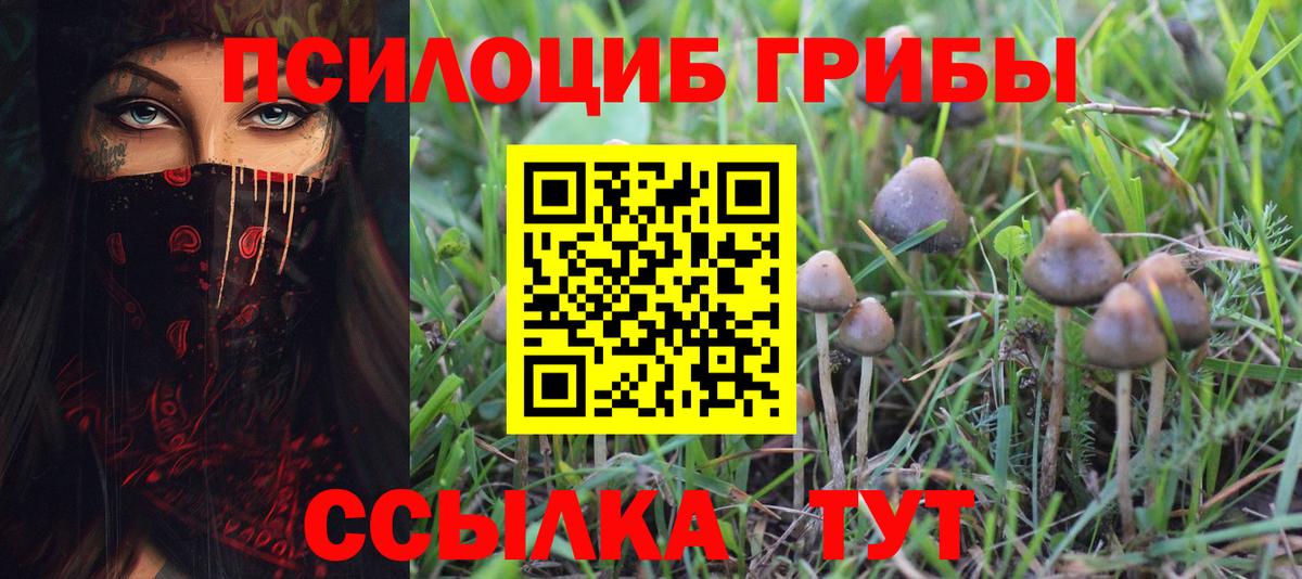 Электрогорск  Галлюциногенные грибы Cubensis  Вход с VPN 